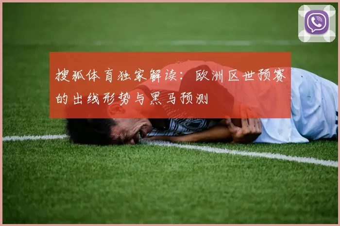 搜狐体育独家解读:欧洲区世预赛的出线形势与黑马预测