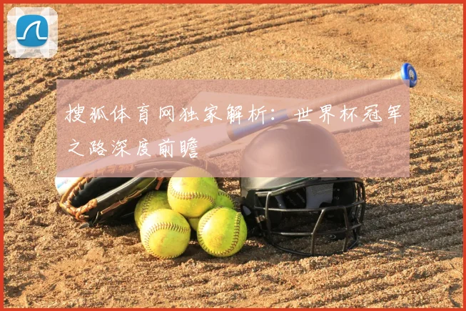 搜狐体育网独家解析:世界杯冠军之路深度前瞻
