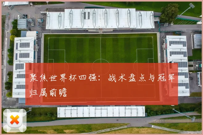 聚焦世界杯四强：战术盘点与冠军归属前瞻