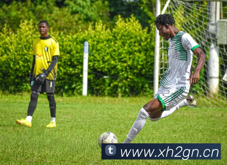 乐鱼网页版官方登录入口发展历程